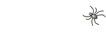 Anet Network